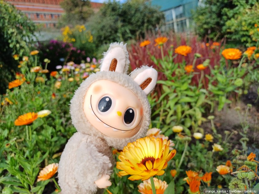 Васька в ботаническом саду