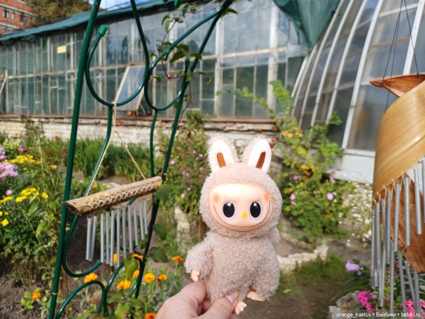 Васька в ботаническом саду