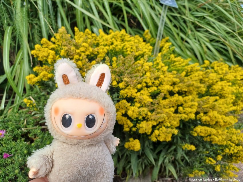 Васька в ботаническом саду (фото 5)