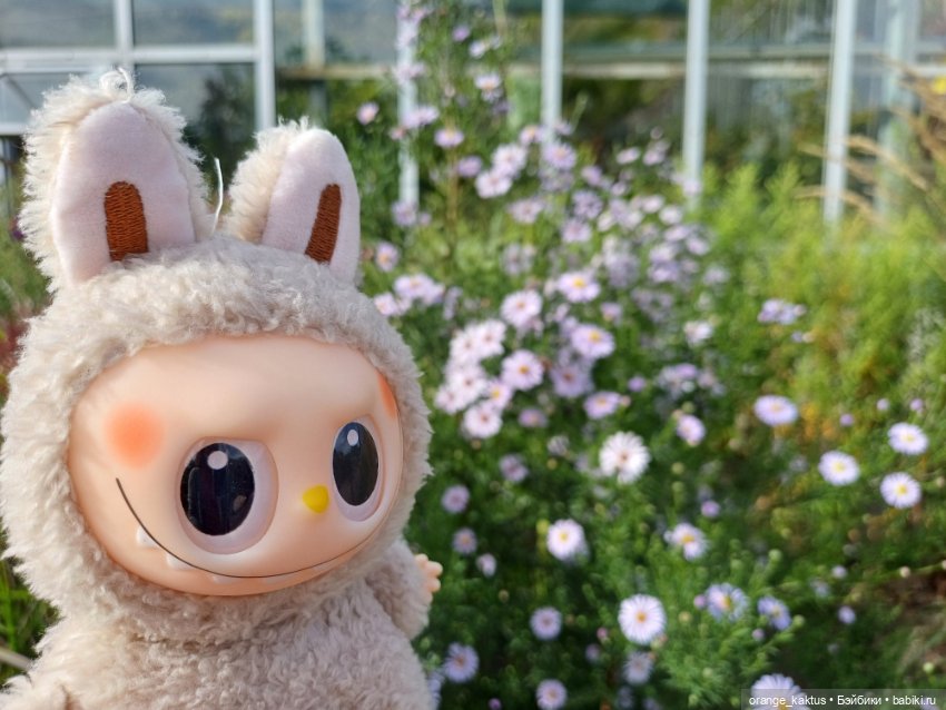 Васька в ботаническом саду (фото 8)