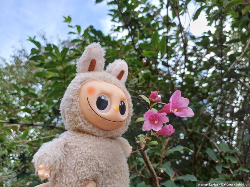 Васька в ботаническом саду