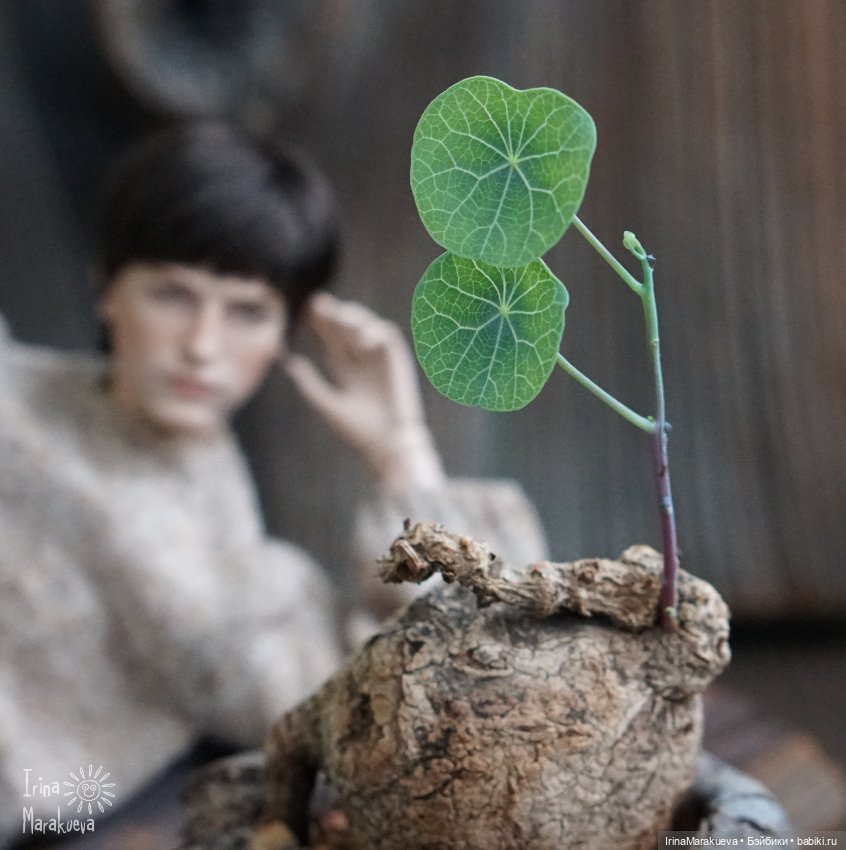 Сказ про Принца — Куклы Natalia Loseva (Наталья Лосева): авторские BJD (БЖД) (фото 3)