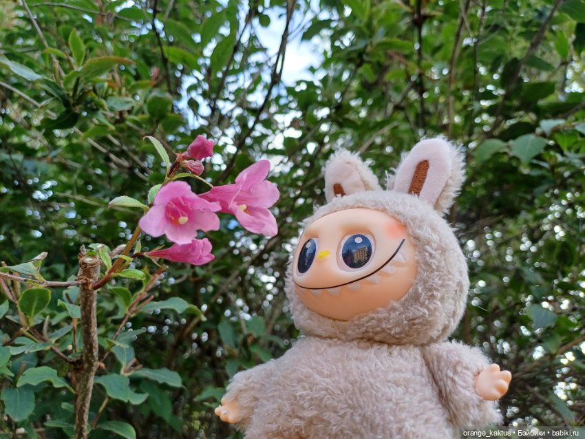 Васька в ботаническом саду (фото 2)