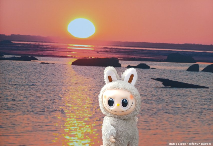 Васька в ботаническом саду (фото 3)