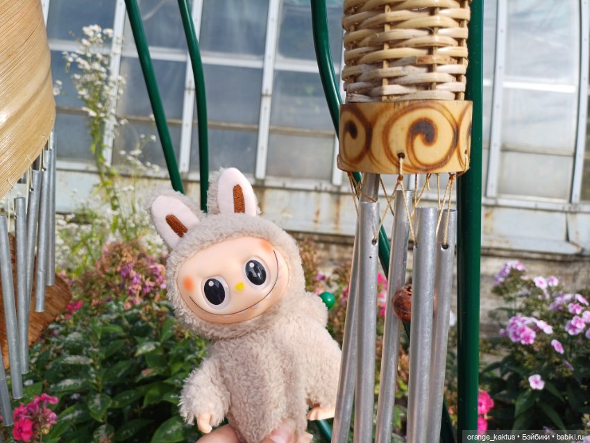 Васька в ботаническом саду