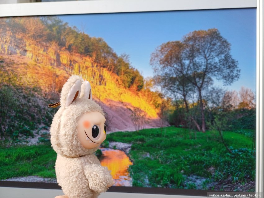 Васька в ботаническом саду (фото 4)