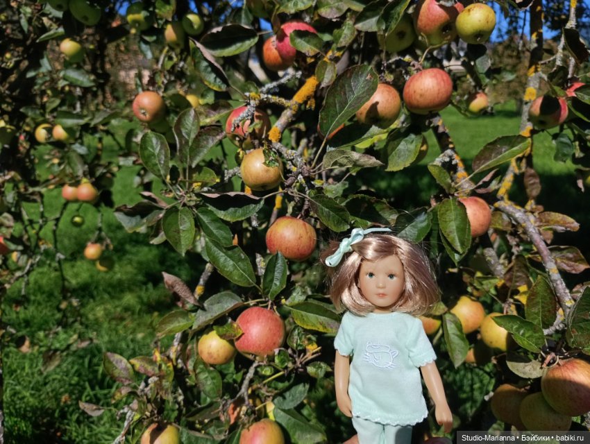 Малышка kidz n cats и цветы осени (фото 5)