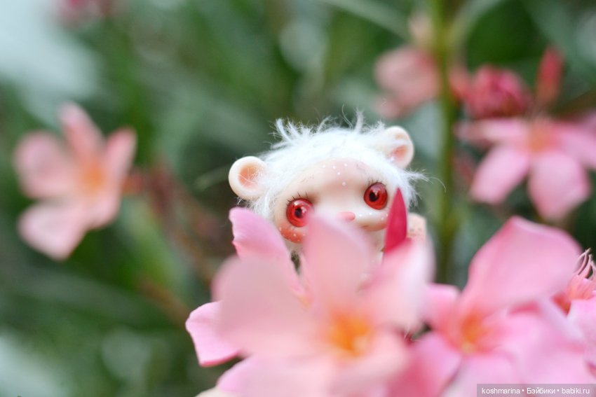 Невероятно милое существо