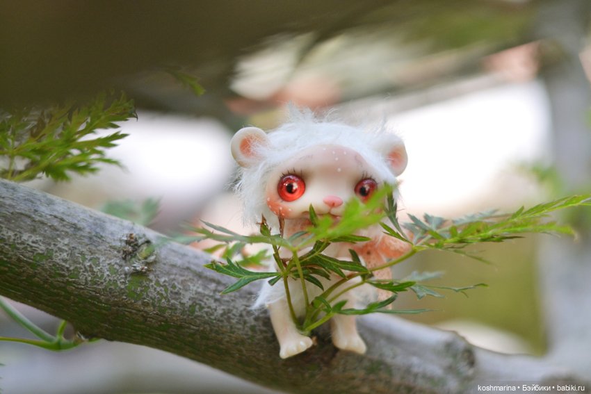 Невероятно милое существо (фото 10)