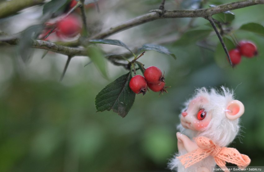 Невероятно милое существо