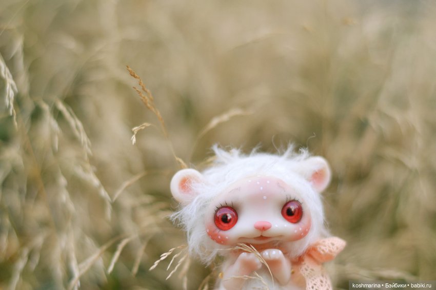 Невероятно милое существо (фото 8)