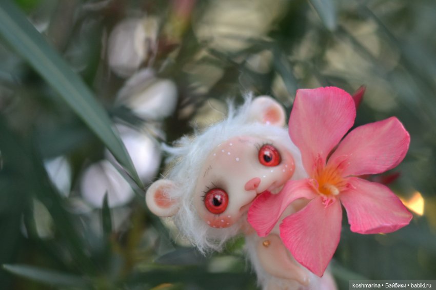 Невероятно милое существо