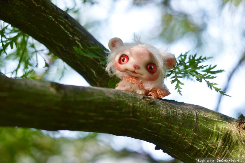 Невероятно милое существо