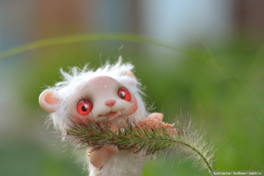 Невероятно милое существо