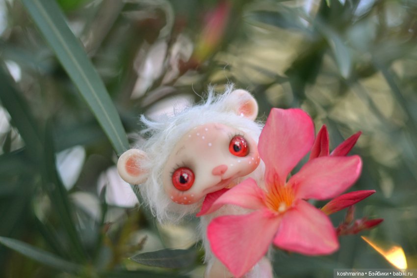 Невероятно милое существо