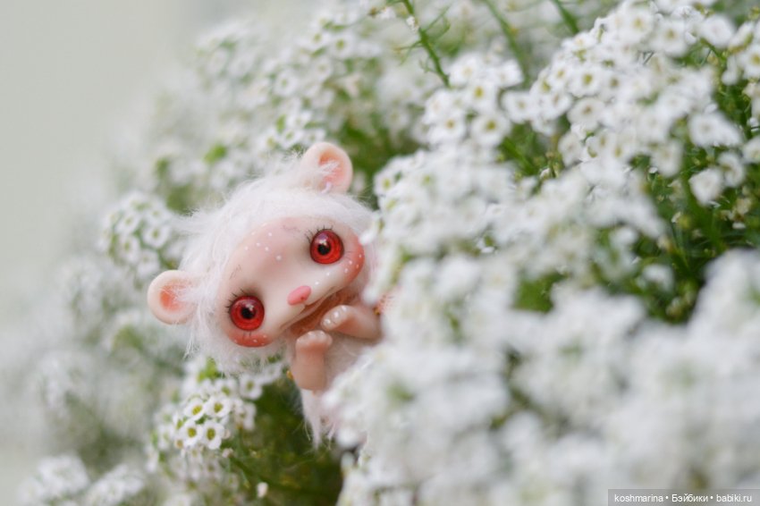 Невероятно милое существо (фото 6)