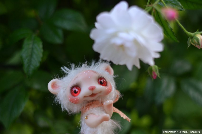 Невероятно милое существо