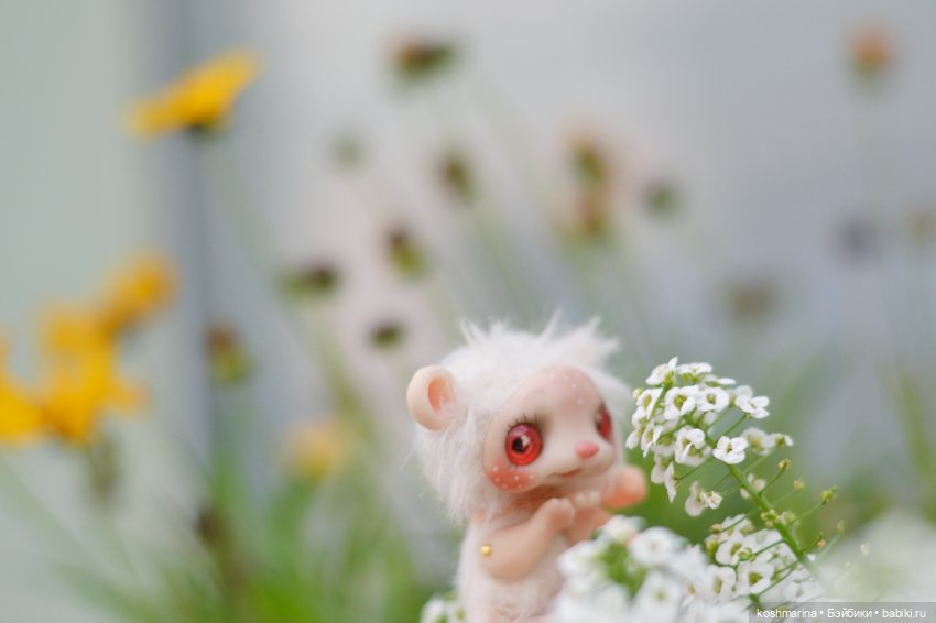 Невероятно милое существо (фото 7)