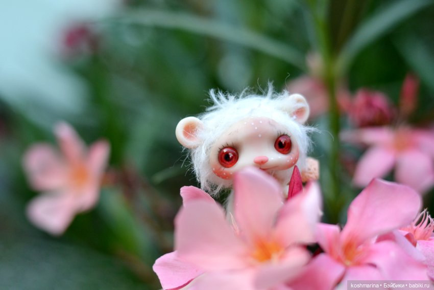 Невероятно милое существо