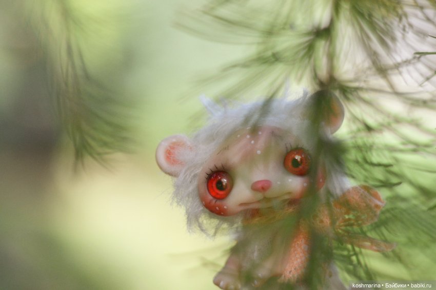 Невероятно милое существо (фото 4)