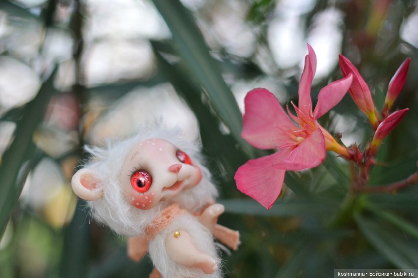 Невероятно милое существо