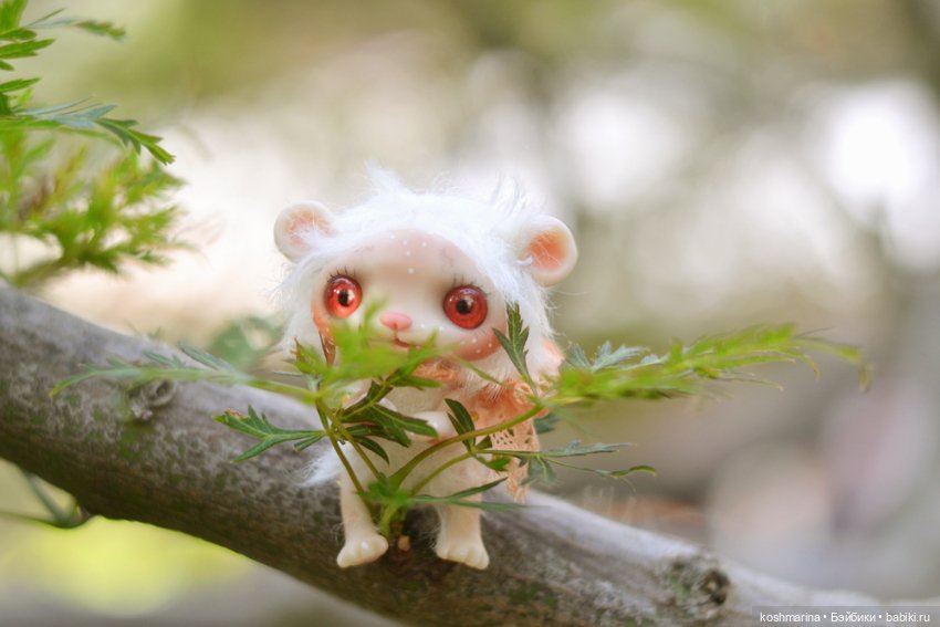 Невероятно милое существо (фото 9)