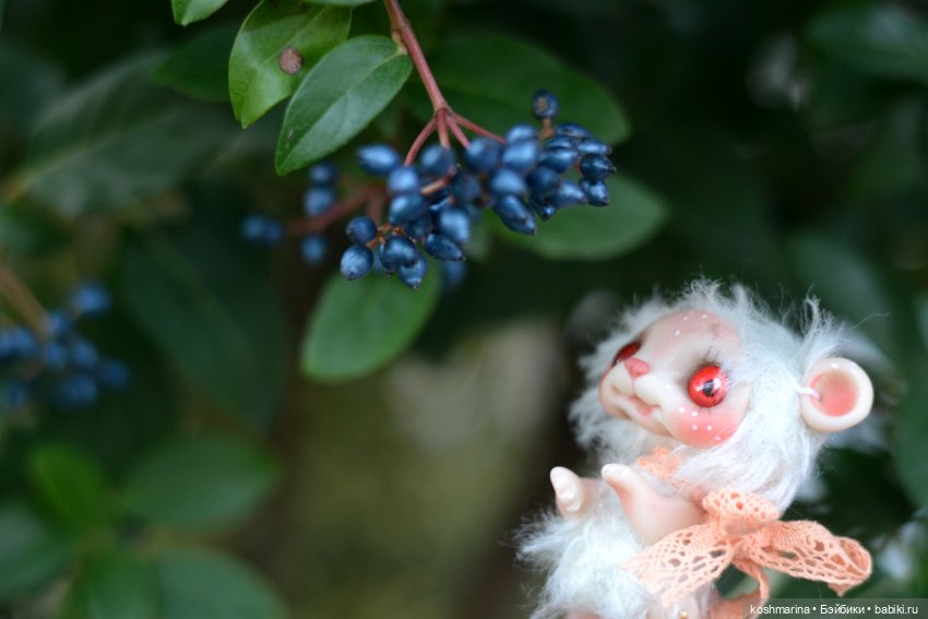 Невероятно милое существо