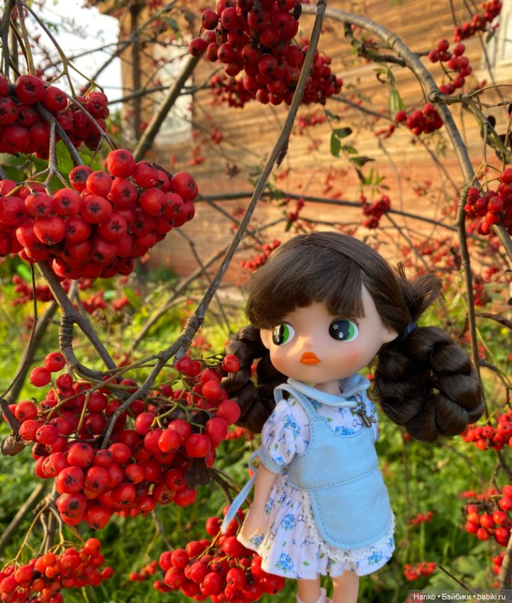 Amoooore — Азиатские виниловые куклы (разное): Китай