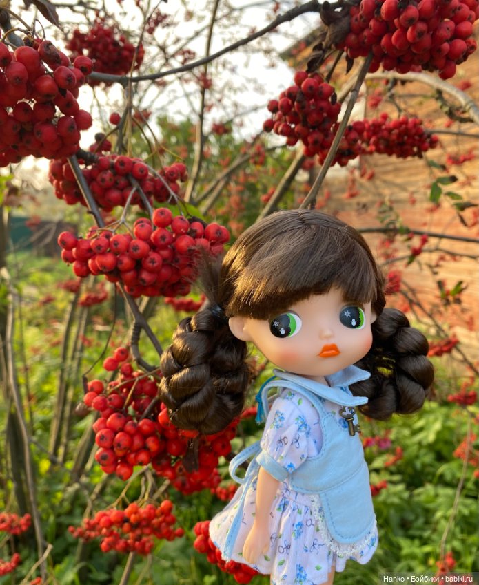 Amoooore — Азиатские виниловые куклы (разное): Китай