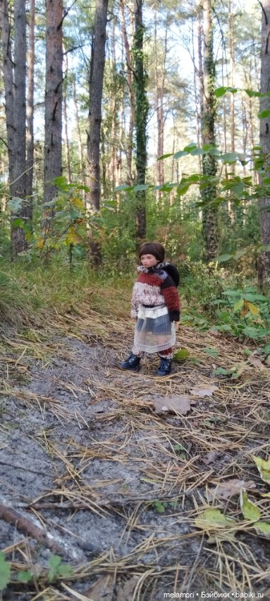 Золотая осень 🍁🍁🍁 — Куклы Dart dolls (Анна Шиткина): российские BJD (БЖД)