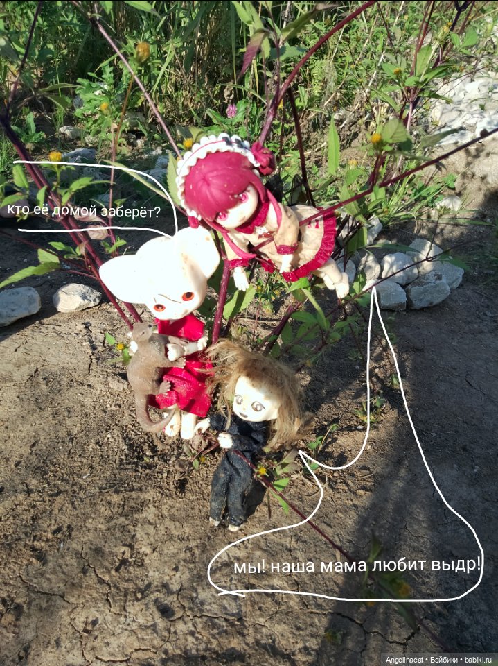 Фотоистория "В сказочной стране" вторая глава "Выдра"