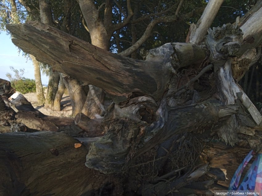 Мабон — Туризм и путешествия: фотоотчеты из поездок