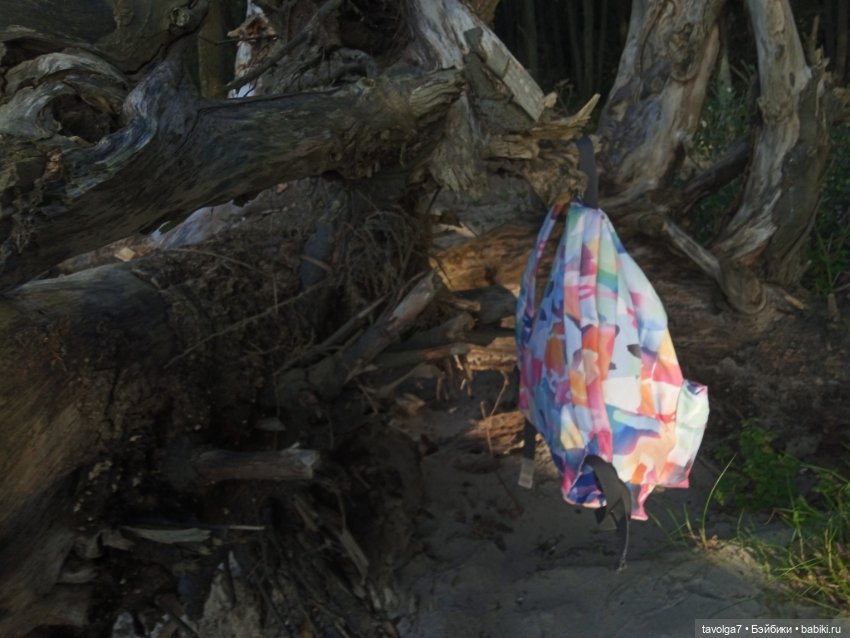 Мабон — Туризм и путешествия: фотоотчеты из поездок