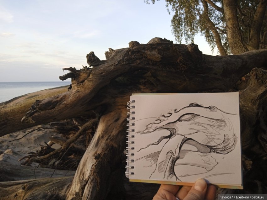 Мабон — Туризм и путешествия: фотоотчеты из поездок