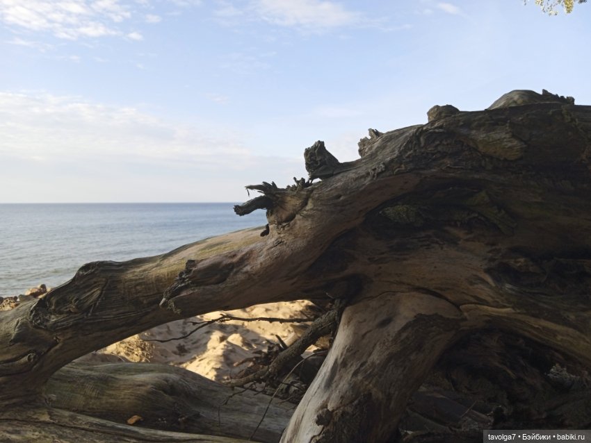 Мабон — Туризм и путешествия: фотоотчеты из поездок