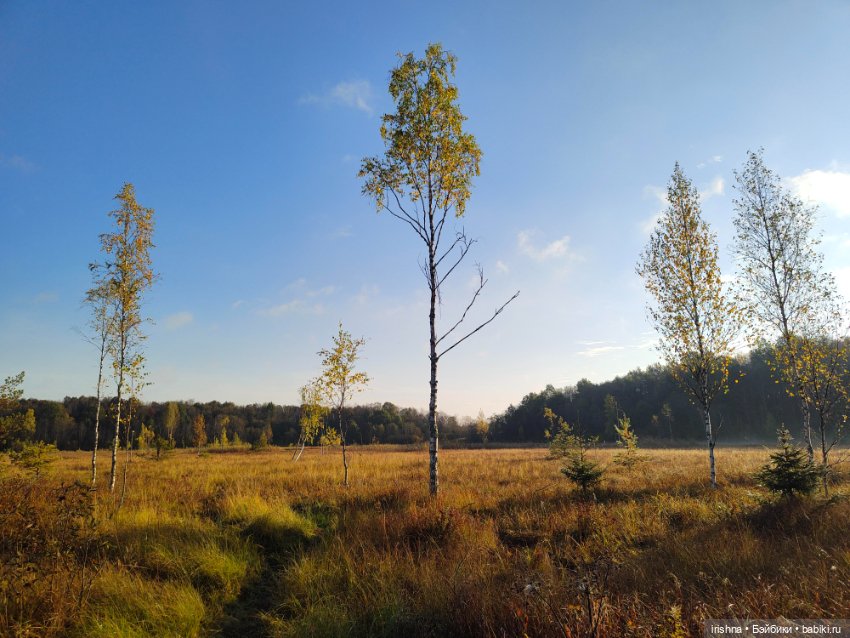 Агнес и живописные виды деревни Мста (фото 5)
