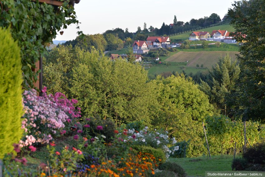 Малышка kidz n cats и цветы осени