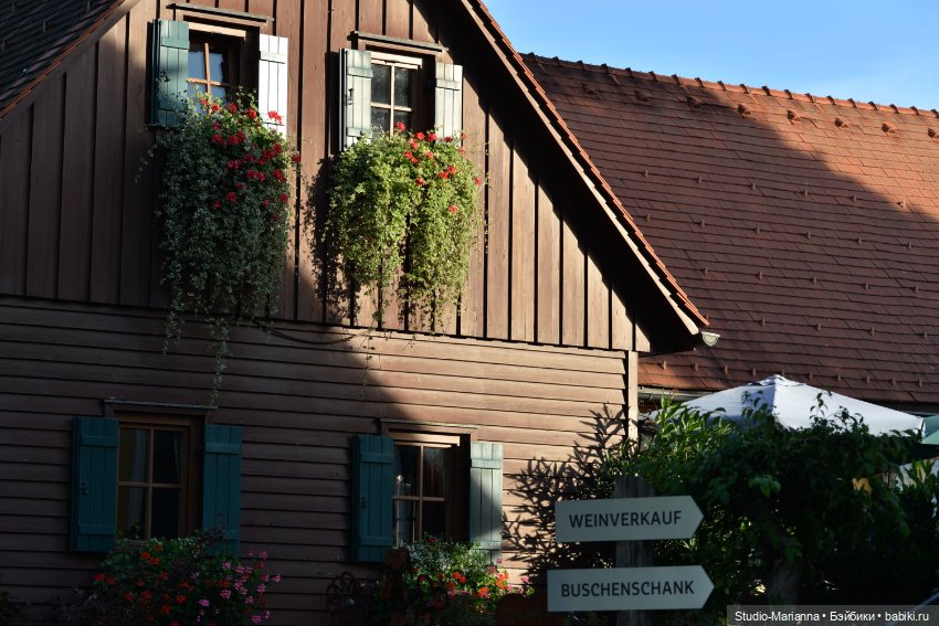 Малышка kidz n cats и цветы осени