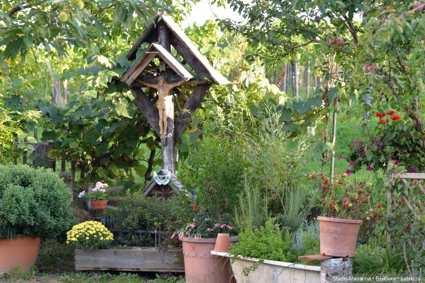 Малышка kidz n cats и цветы осени