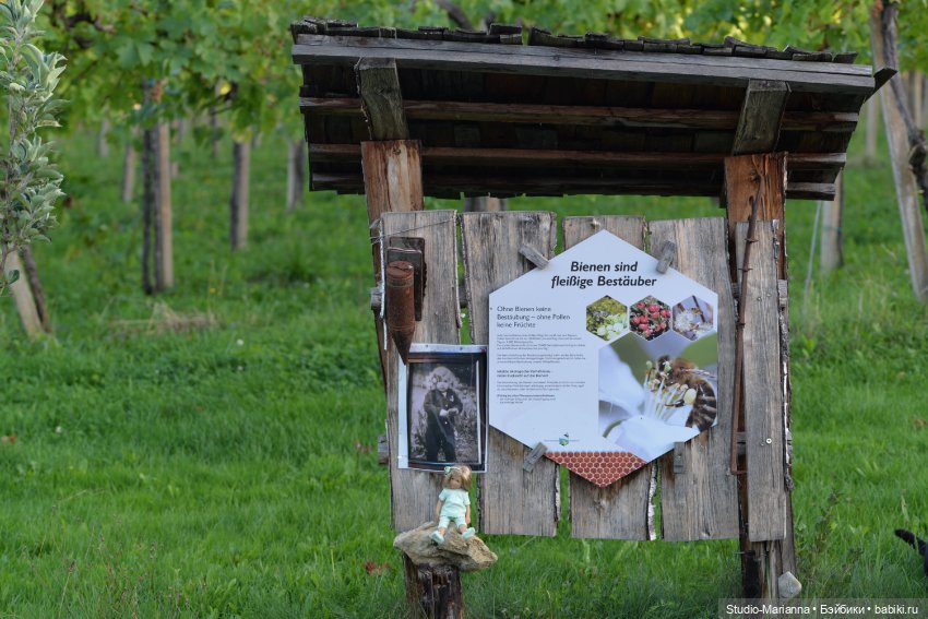 Малышка kidz n cats и цветы осени