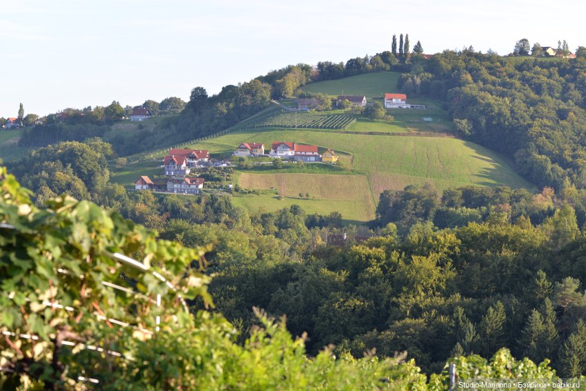 Малышка kidz n cats и цветы осени