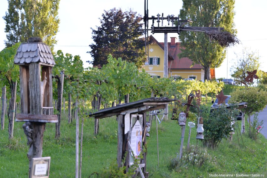 Малышка kidz n cats и цветы осени