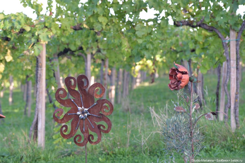 Малышка kidz n cats и цветы осени