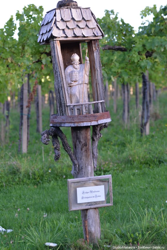 Малышка kidz n cats и цветы осени