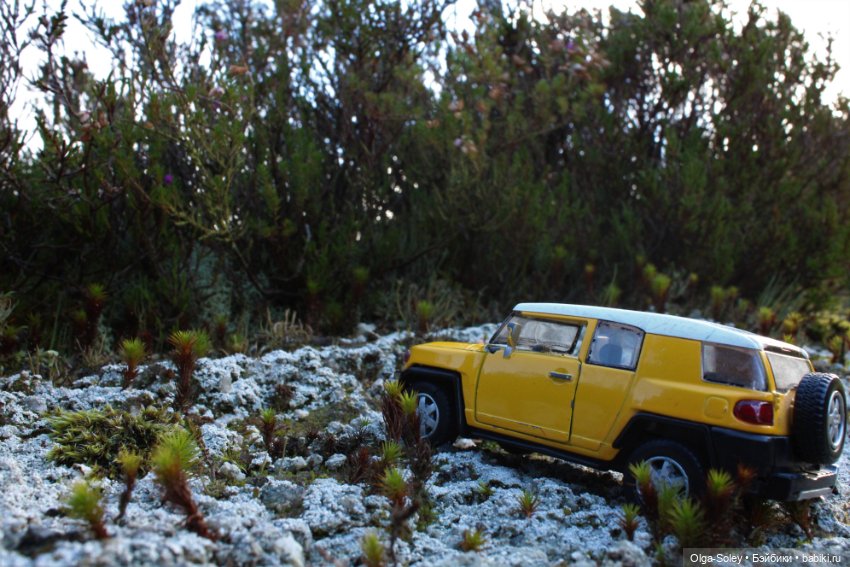 Большое путешествие маленького внедорожника (фото 10)