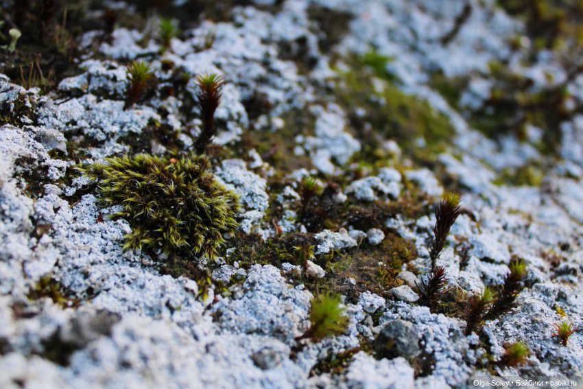 Большое путешествие маленького внедорожника