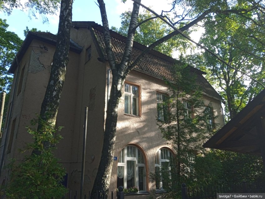 Светлогорск утро — Туризм и путешествия: фотоотчеты из поездок (фото 5)