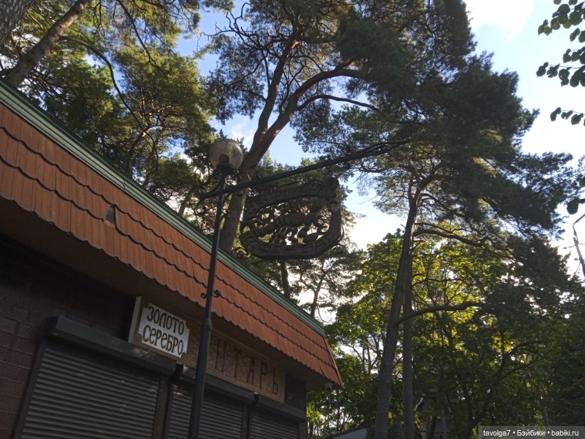 Светлогорск утро — Туризм и путешествия: фотоотчеты из поездок (фото 3)