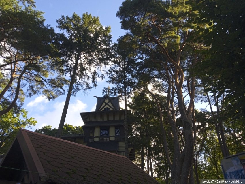 Светлогорск утро — Туризм и путешествия: фотоотчеты из поездок (фото 4)