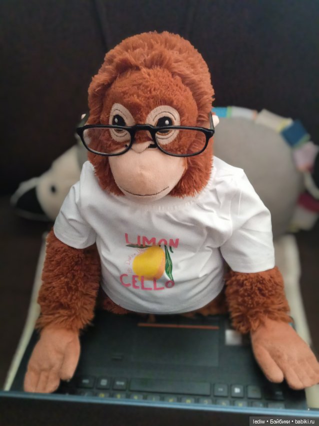 Куклы, майор и снова... Абизяна (фото 2)